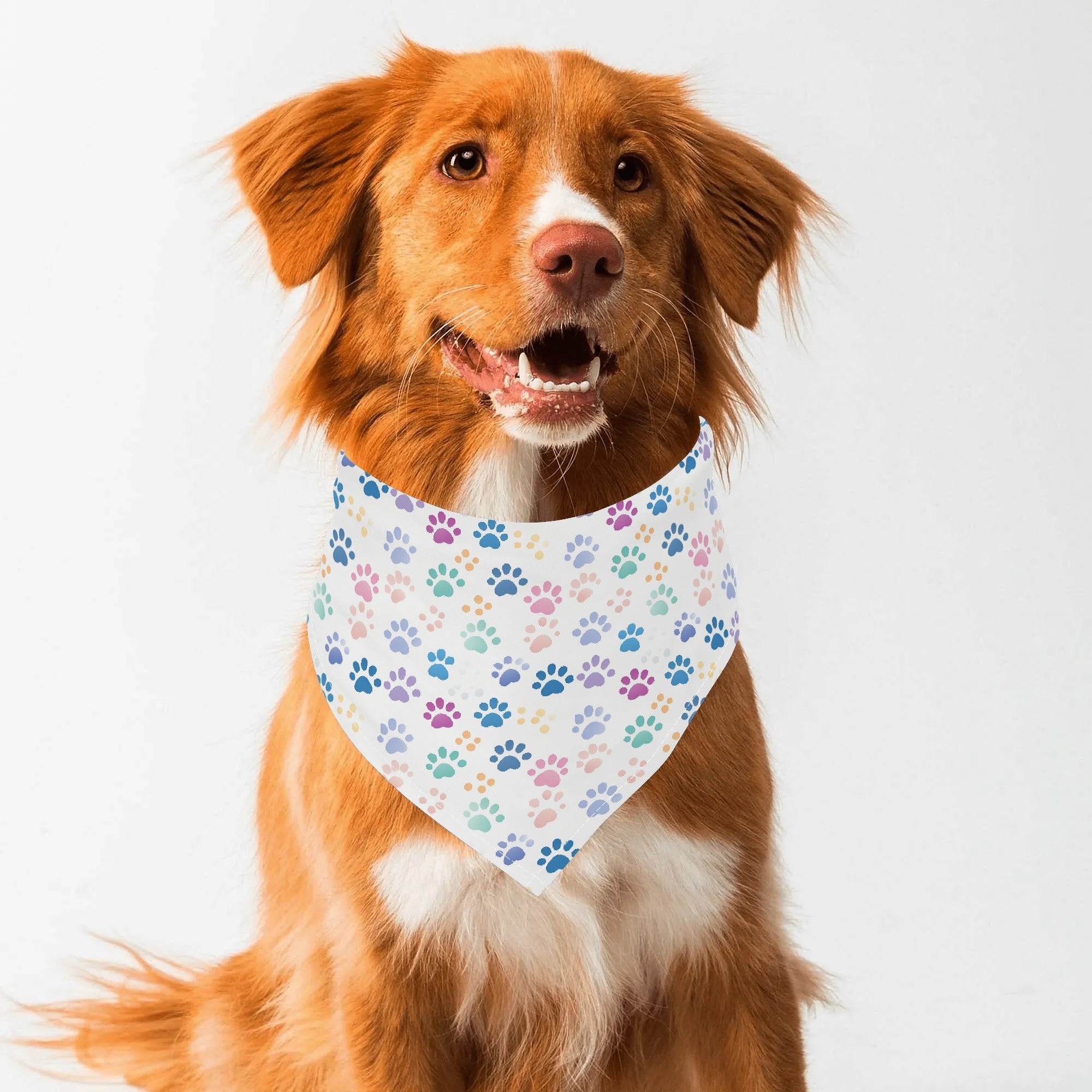 Dog Scarf Pet Adjustable Bandanas in Paws