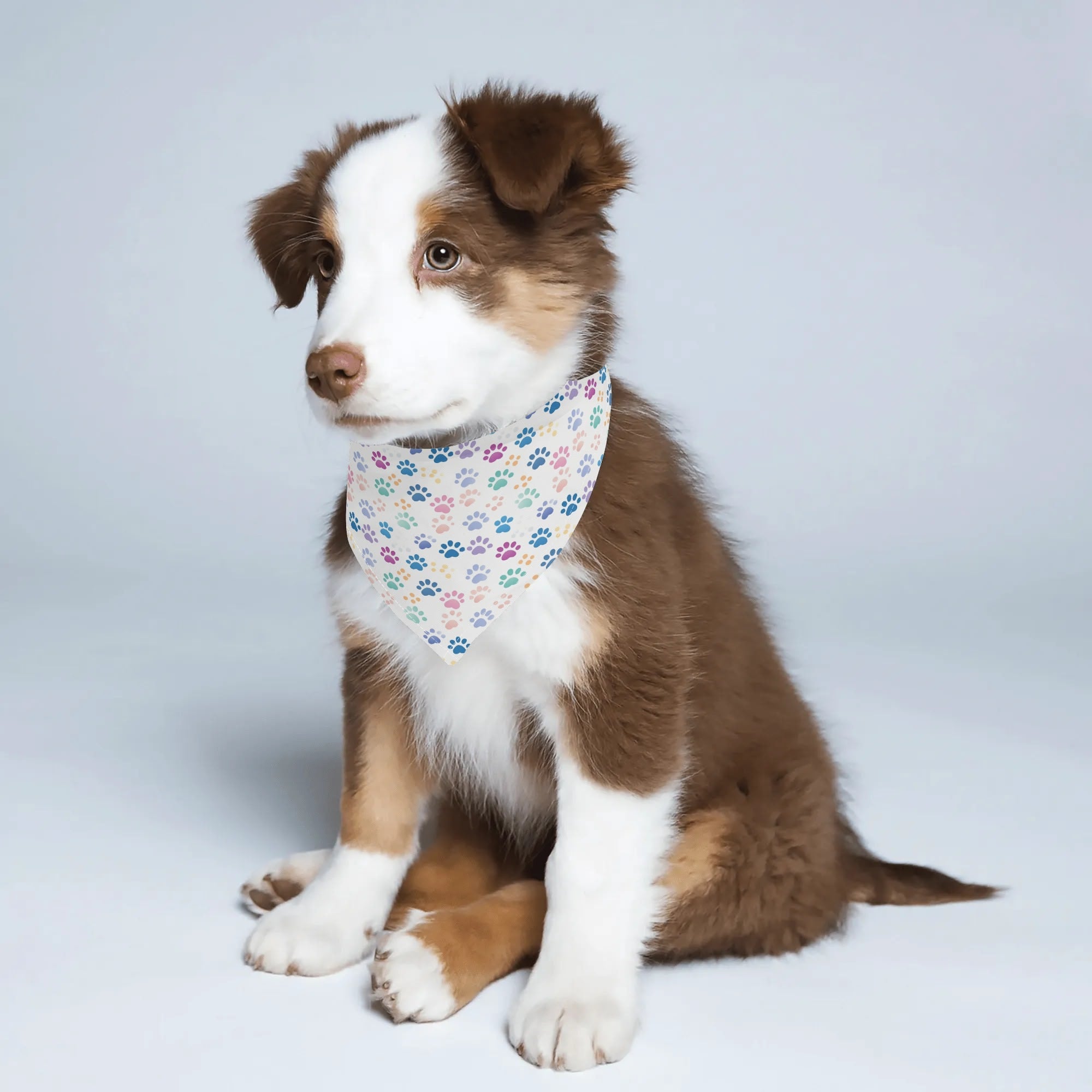 Dog Scarf Pet Adjustable Bandanas in Paws