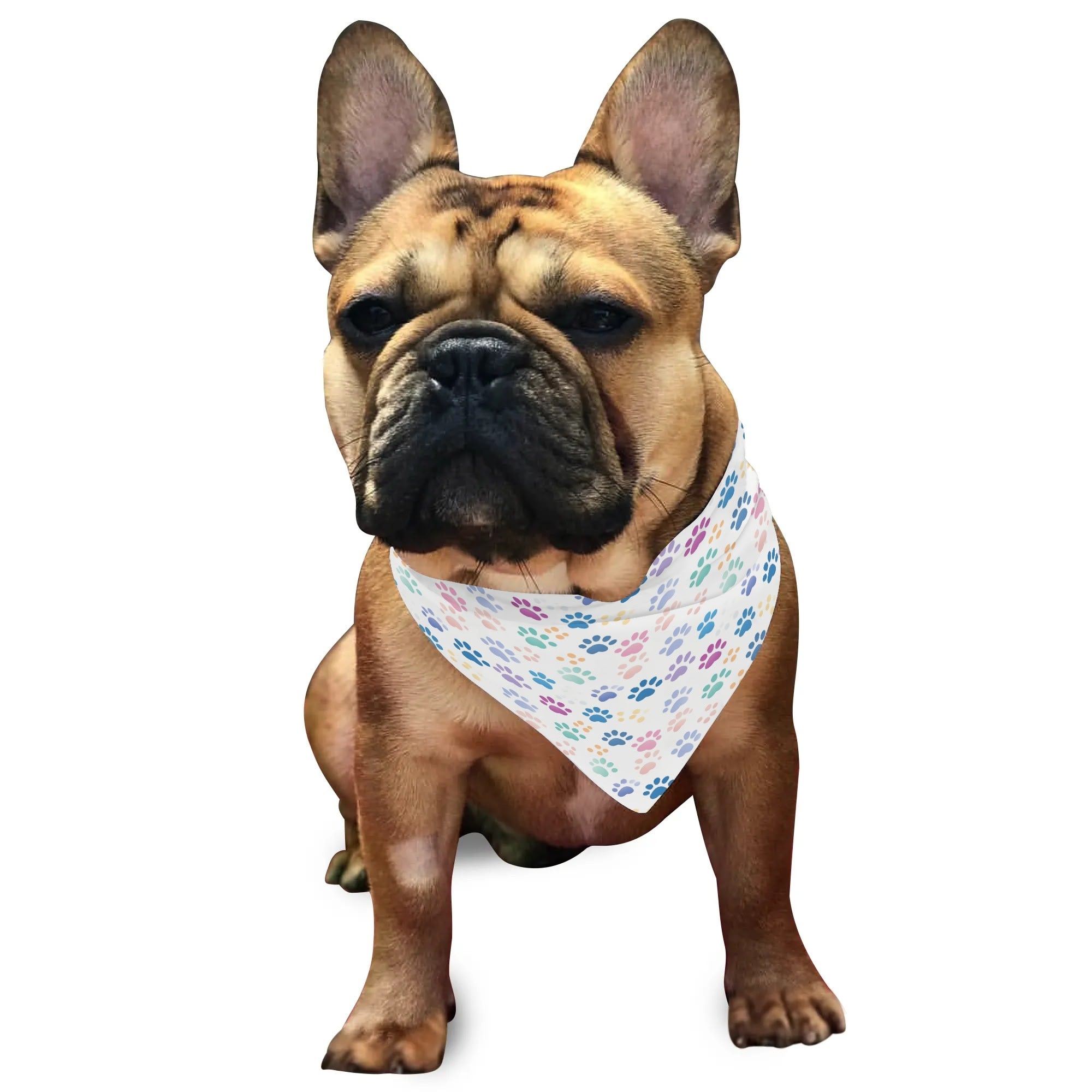 Dog Scarf Pet Adjustable Bandanas in Paws