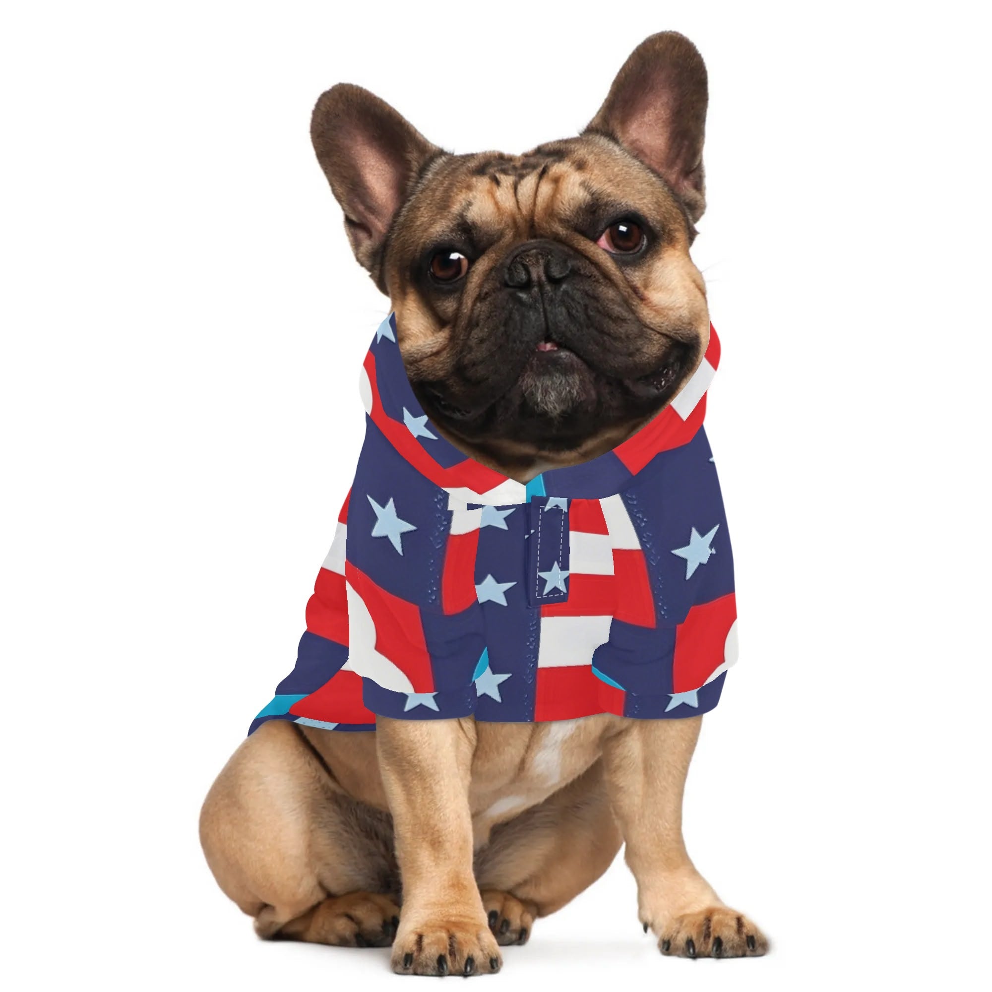 Full Printing Pet Pullover Hoodie-POD Dog Clothing