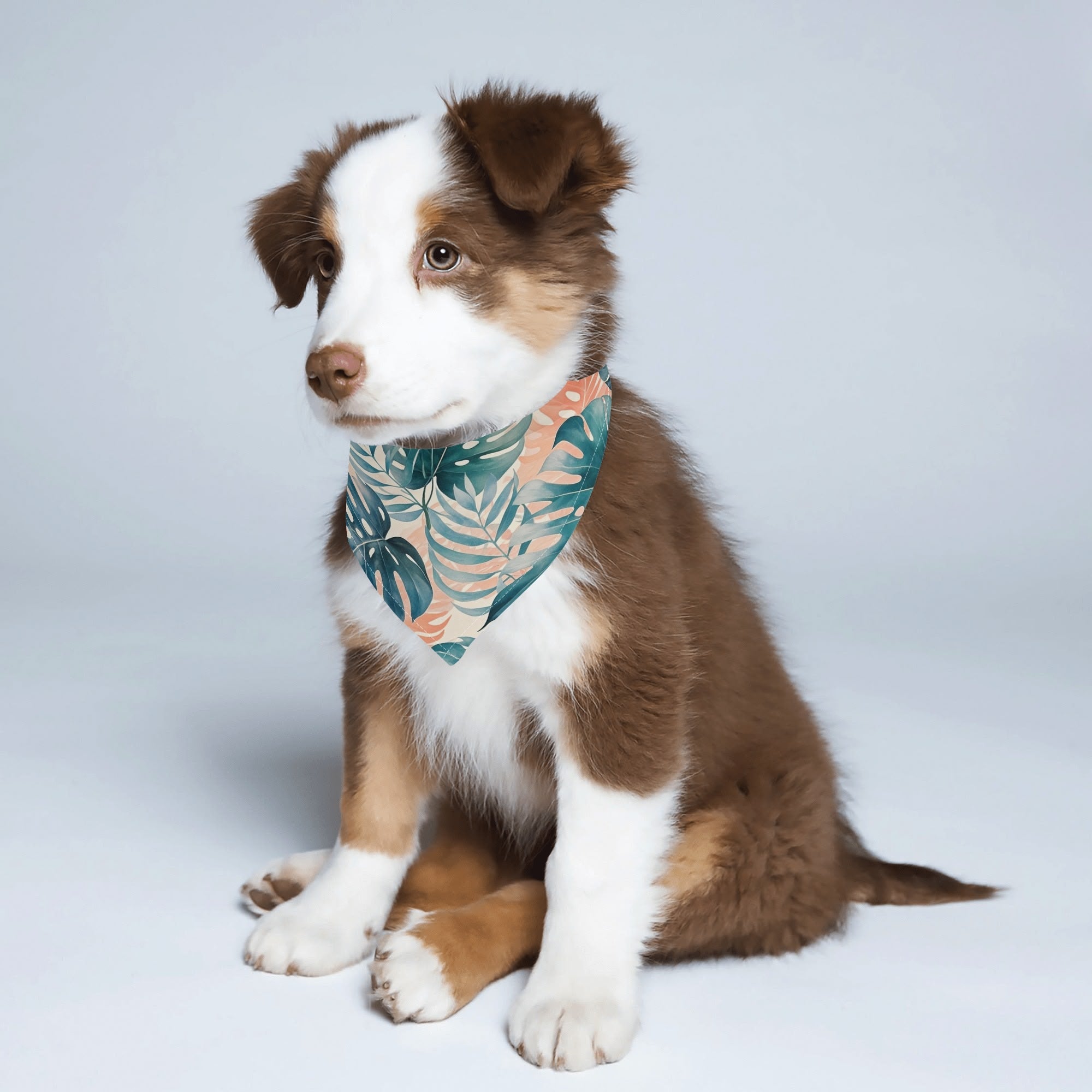 POD Printing Pet Bandana DIY Bandana For Pet Gift