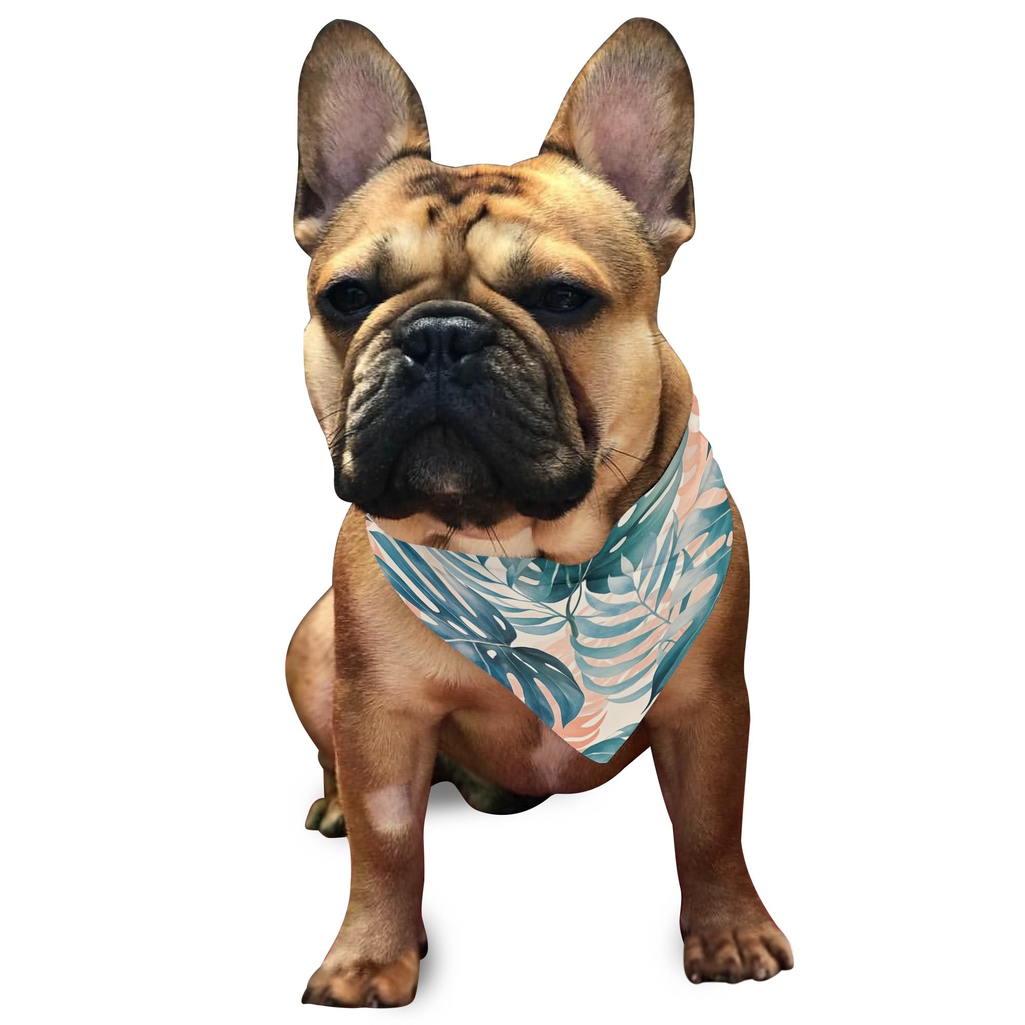 POD Printing Pet Bandana DIY Bandana For Pet Gift