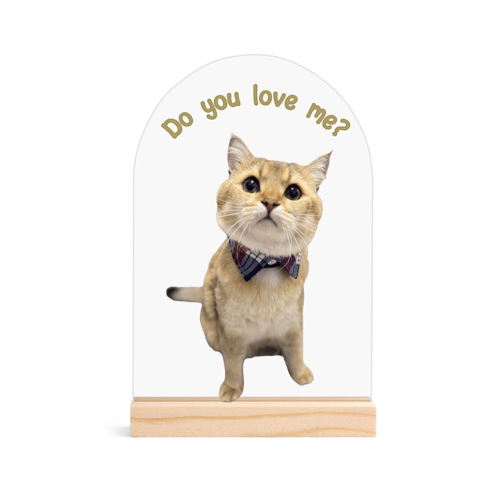 Personalized Light Weight Acrylic Night Light Sign Table with Wood Stand