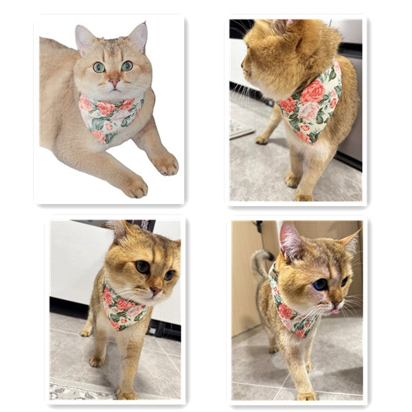 Comfortable New Fashion Cat Bandana In Floral Design-Orange Rose