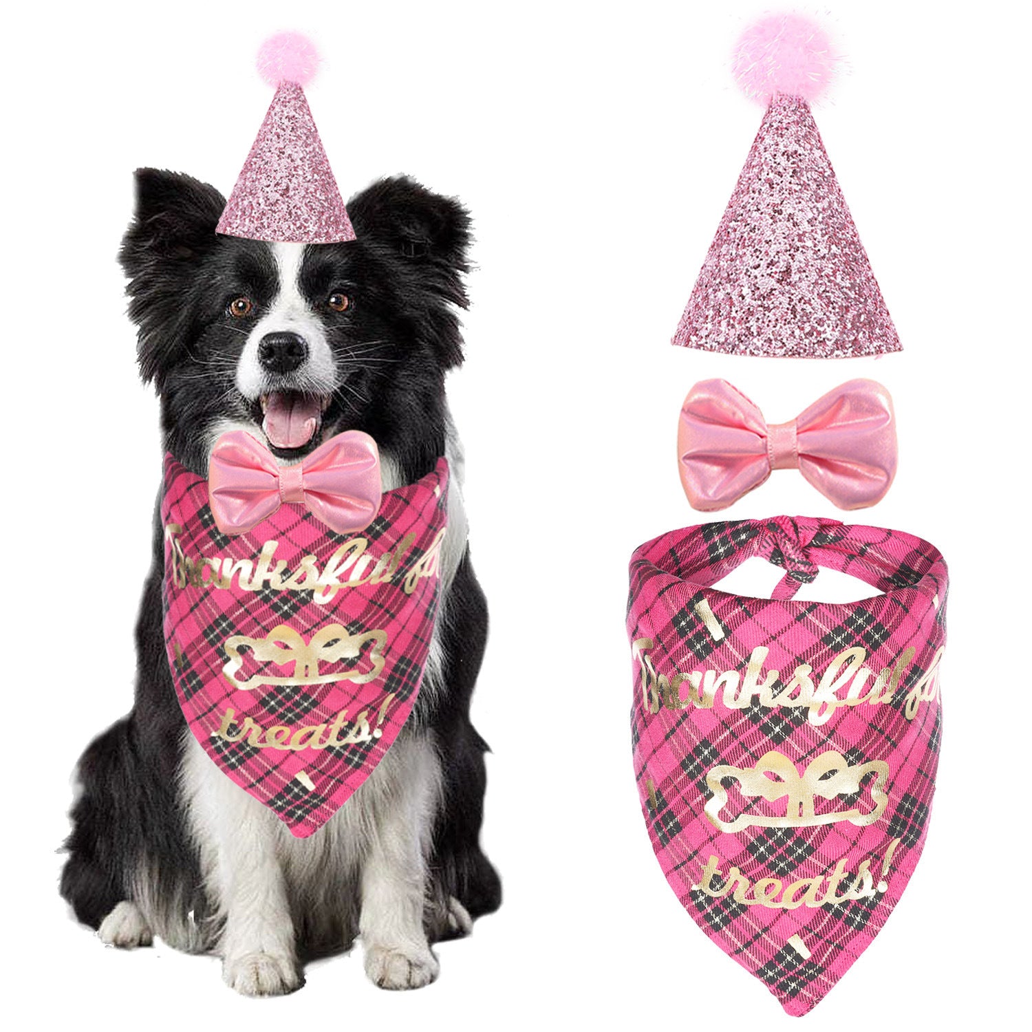 All-in-One Pet Birthday Set – Perfect Gift For Girl Dog & Cat Birthday Parties