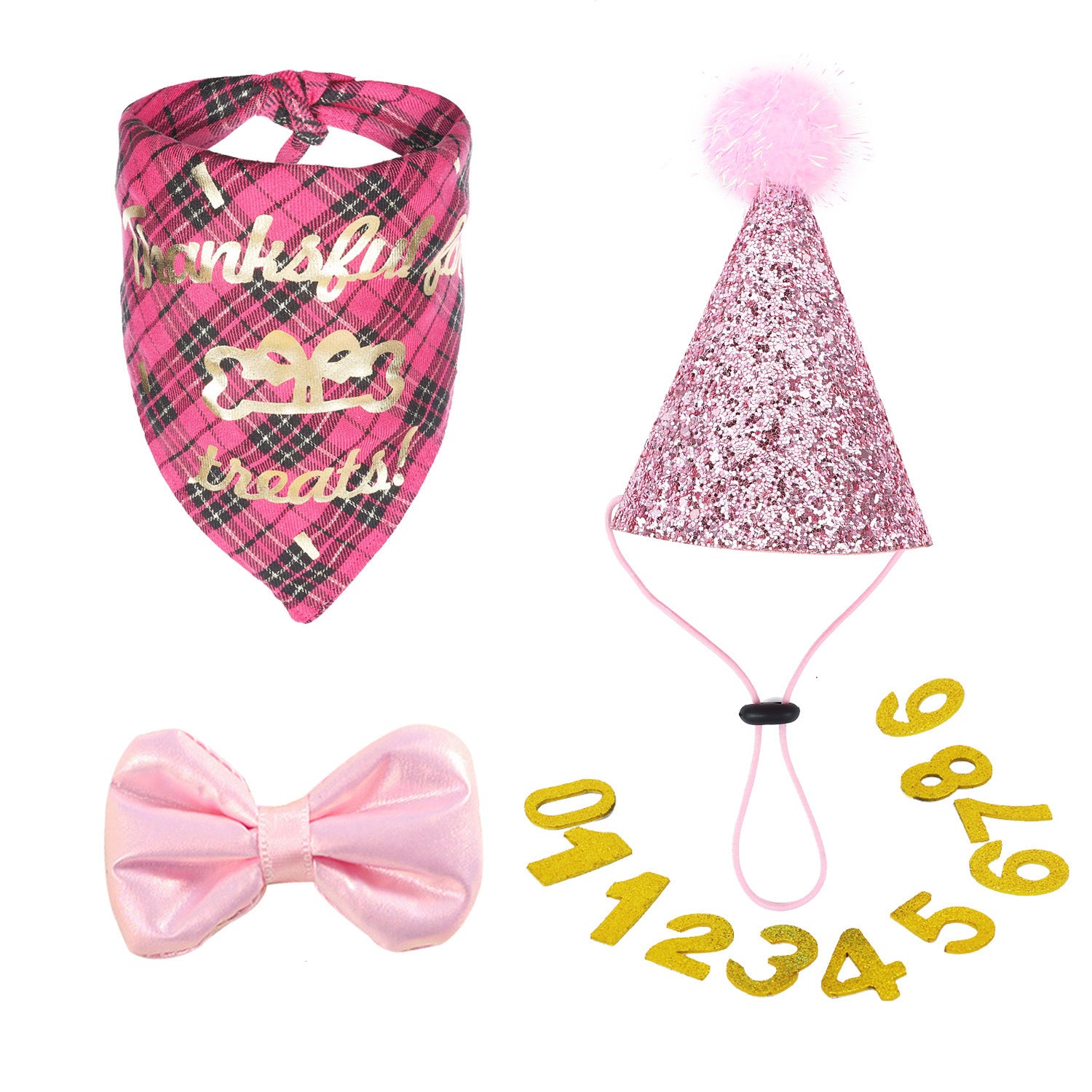 All-in-One Pet Birthday Set – Perfect Gift For Girl Dog & Cat Birthday Parties