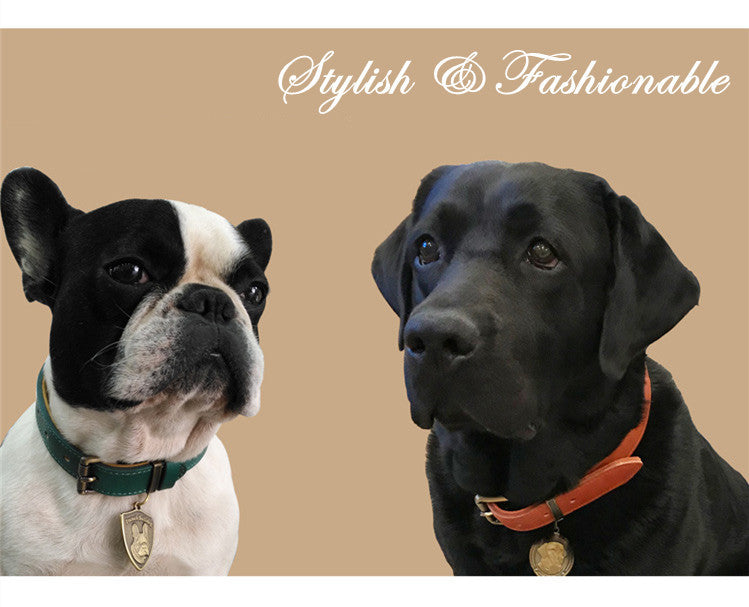 Premium Leather Dog/Cat Collar – Adjustable Comfort, Timeless Style (Malachite Green)
