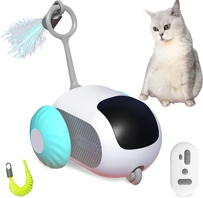 Self-Driving Cat Toy with Obstacle Avoidance + Human-Controlled Chase Modes