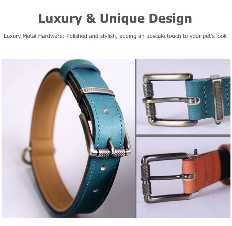 Premium Leather Dog/Cat Collar – Adjustable Comfort, Timeless Style(Orange)