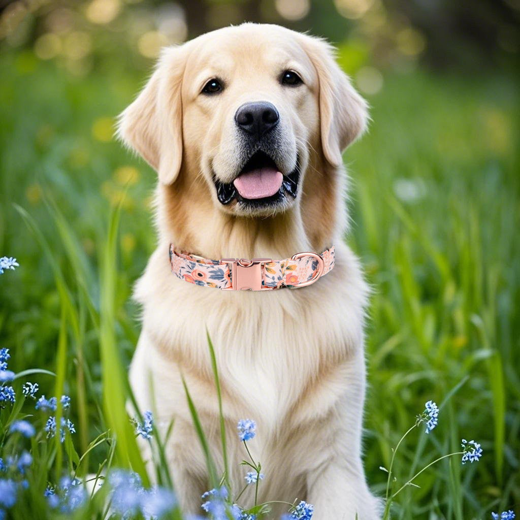 Luxury Cotton Dog Collar Leash Set – Elegance for Your Beloved Companion-Orange