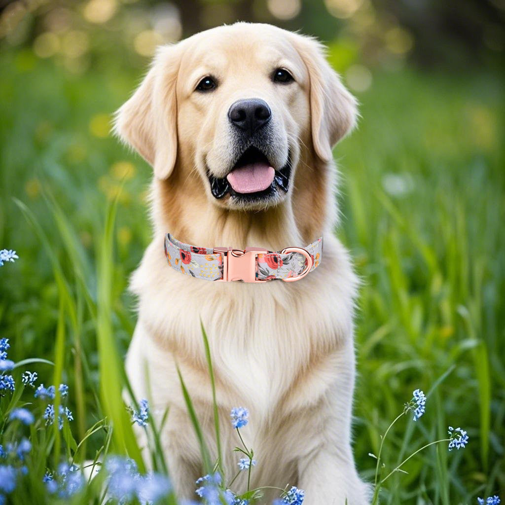 Luxury Cotton Dog Floral Collar Set for Discerning Pet Lovers – Elegant, Adjustable & Comfortable-Grey