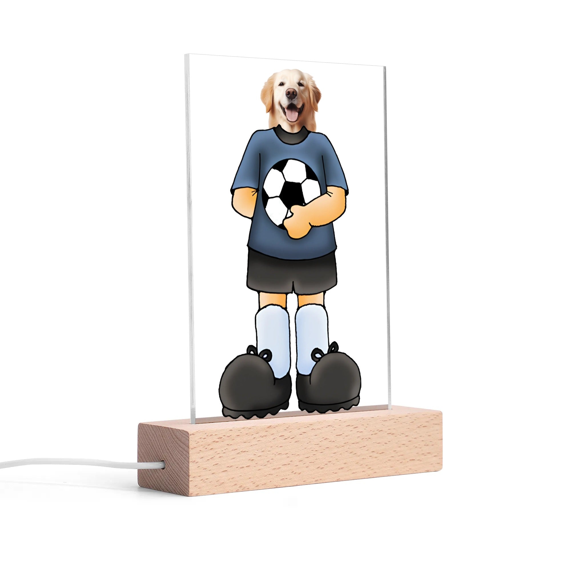 Personalized Acrylic LED Lamp with Wooden Base – A Stylish Decorative Gift for Any Occasion
