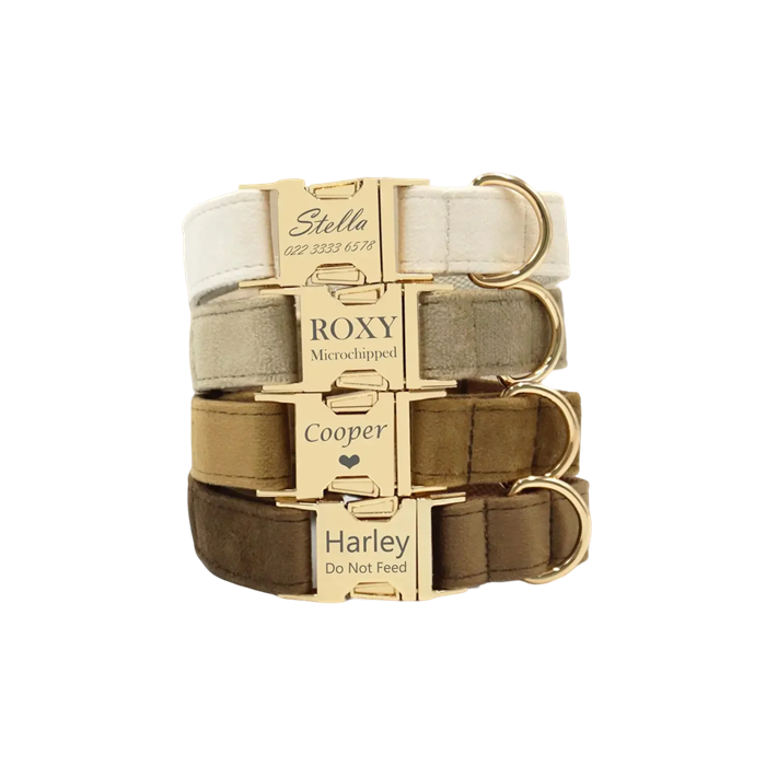 Personalized Comfort & Style – Velvet Pet Collar with Custom Engraving