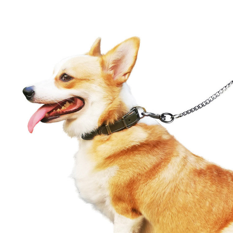 Premium Microfiber Leather & Stainless Steel Pet Leash – Strength Meets Elegance