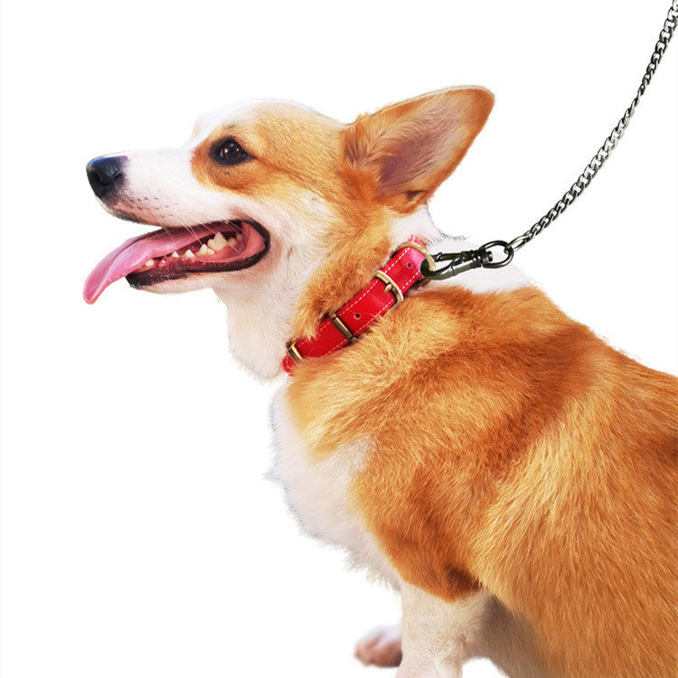 Premium Microfiber Leather & Stainless Steel Pet Leash – Strength Meets Elegance