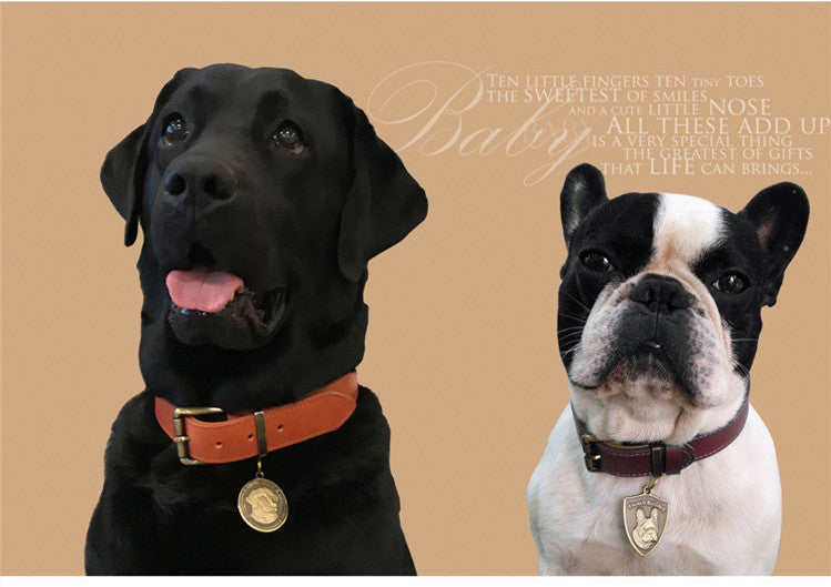 Premium Leather Dog/Cat Collar – Adjustable Comfort, Timeless Style(Brown)