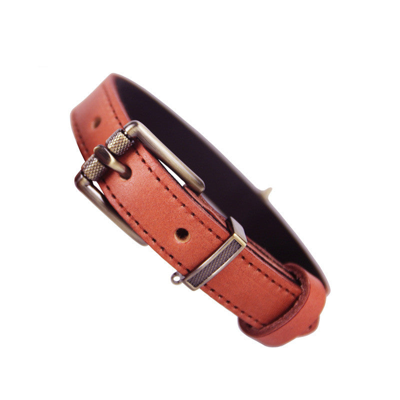 Premium Leather Dog/Cat Collar – Adjustable Comfort, Timeless Style(Orange)