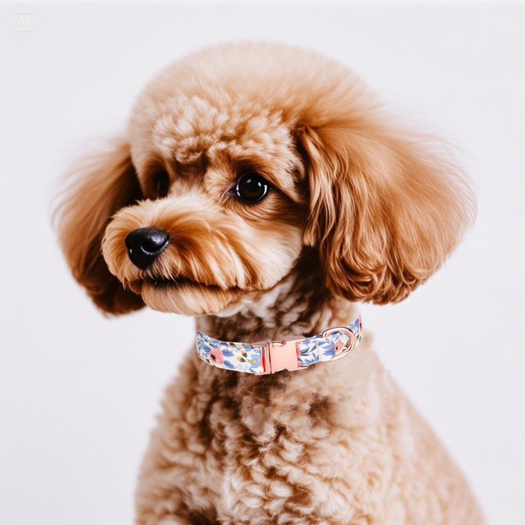 Luxury Cotton Dog Collar Leash Set – Elegance for Your Beloved Fur Companion-Blue