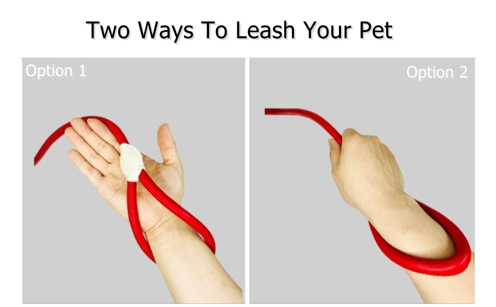 Premium Microfiber Leather & Stainless Steel Pet Leash – Strength Meets Elegance