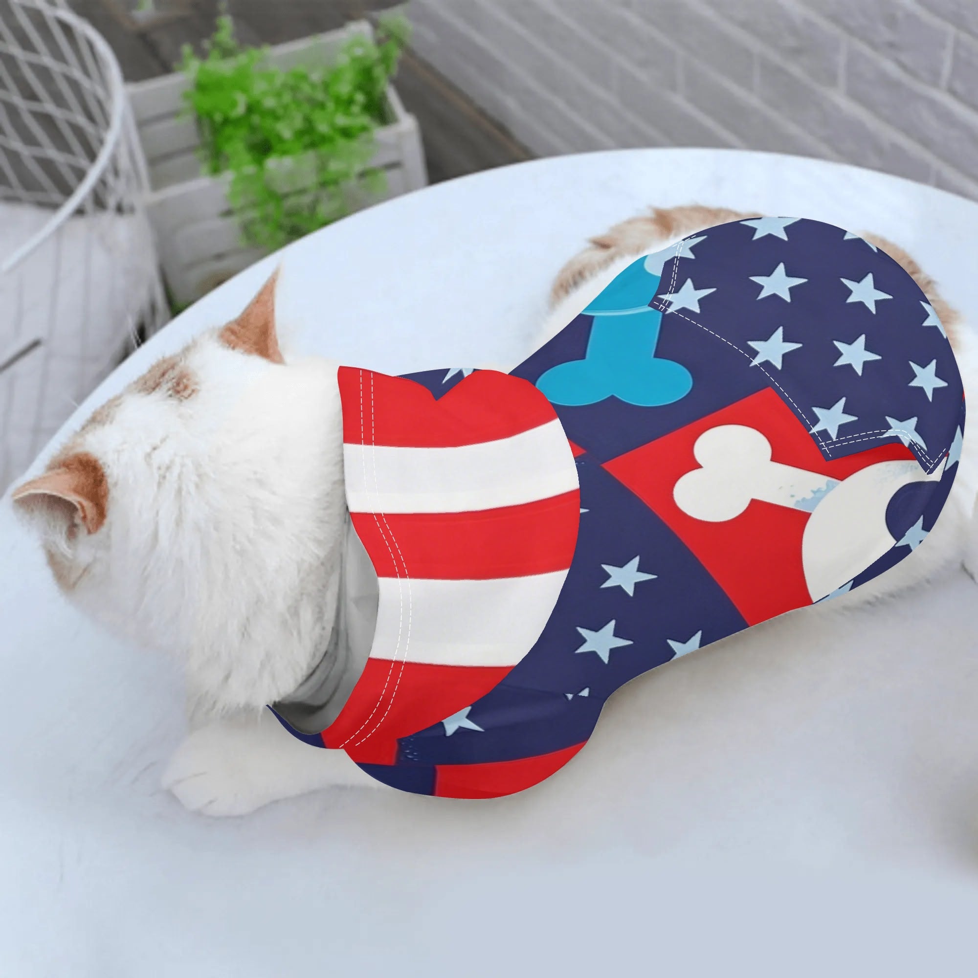 Full Printing Pet Pullover Hoodie-POD Dog Clothing