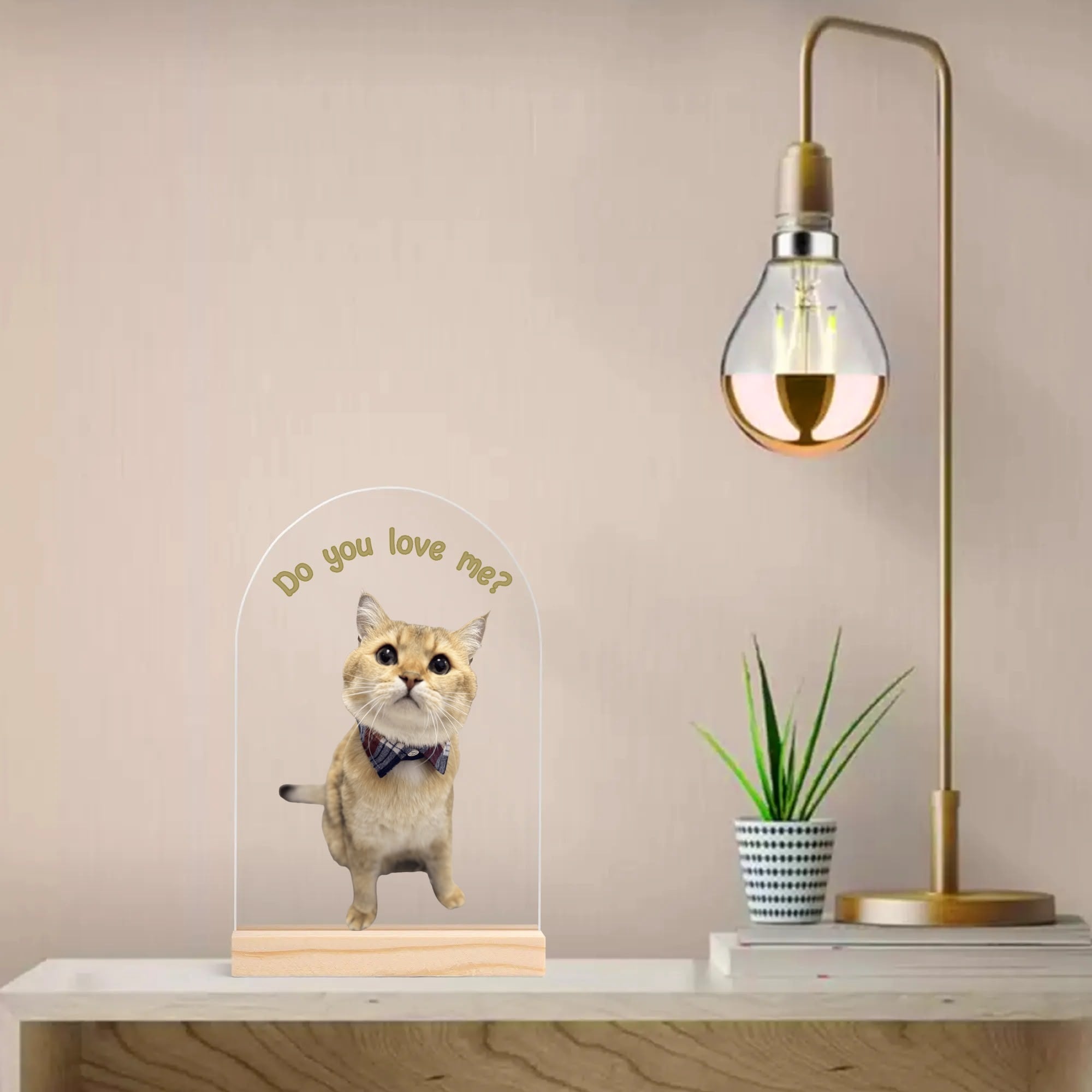 Personalized Light Weight Acrylic Night Light Sign Table with Wood Stand