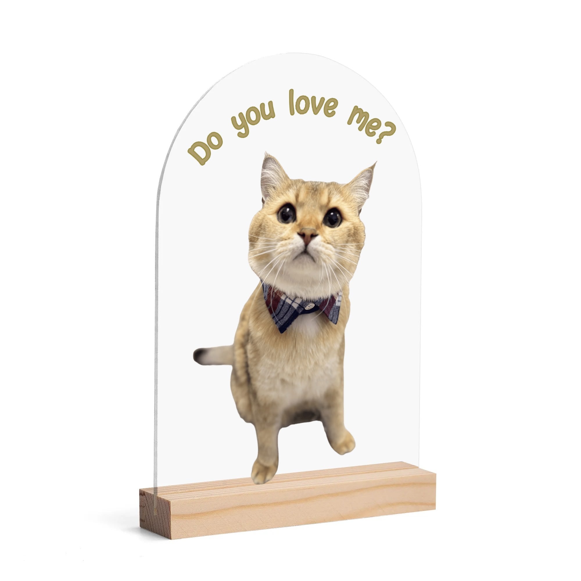 Personalized Light Weight Acrylic Night Light Sign Table with Wood Stand