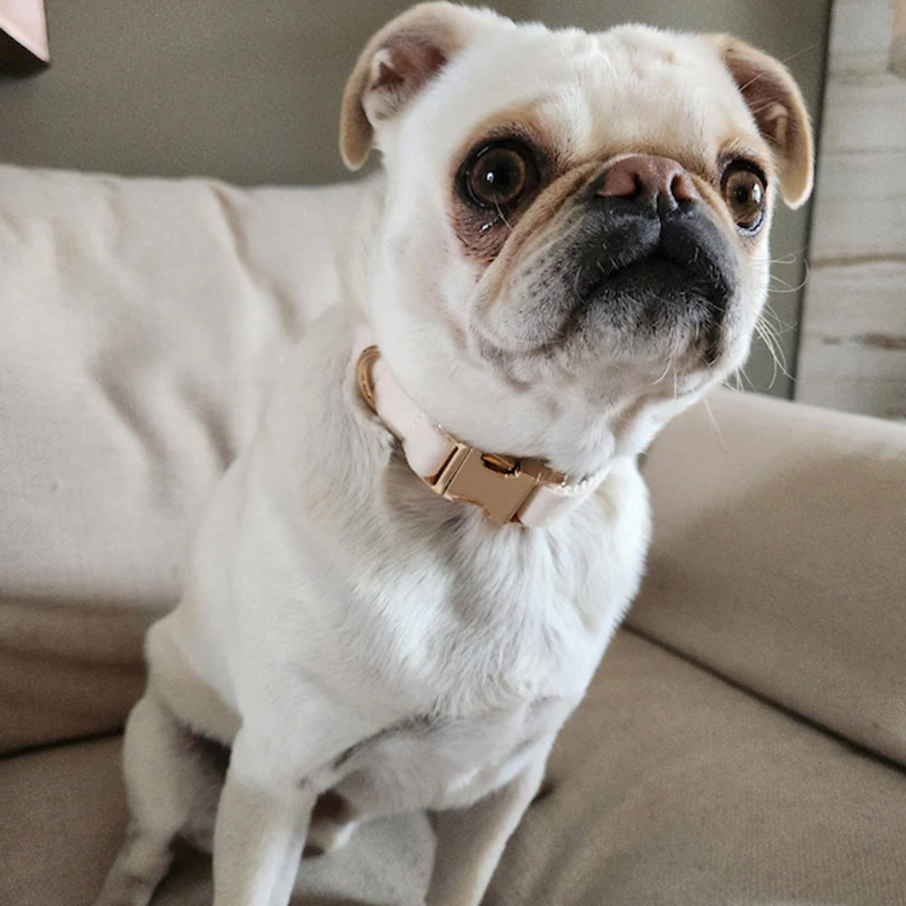 Personalized Comfort & Style – Velvet Pet Collar with Custom Engraving