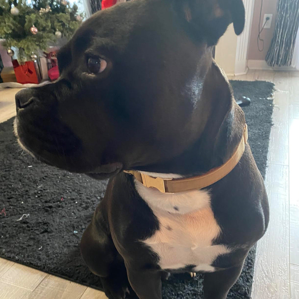 Personalized Comfort & Style – Velvet Pet Collar with Custom Engraving