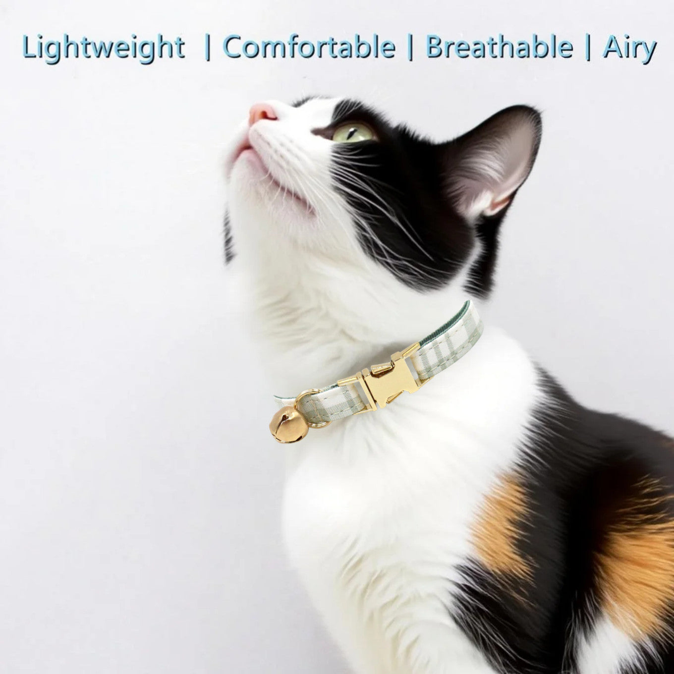The Plaid Charm Cat Collar & Leash Set: Style, Safety & Purr-fect Comfort/Green