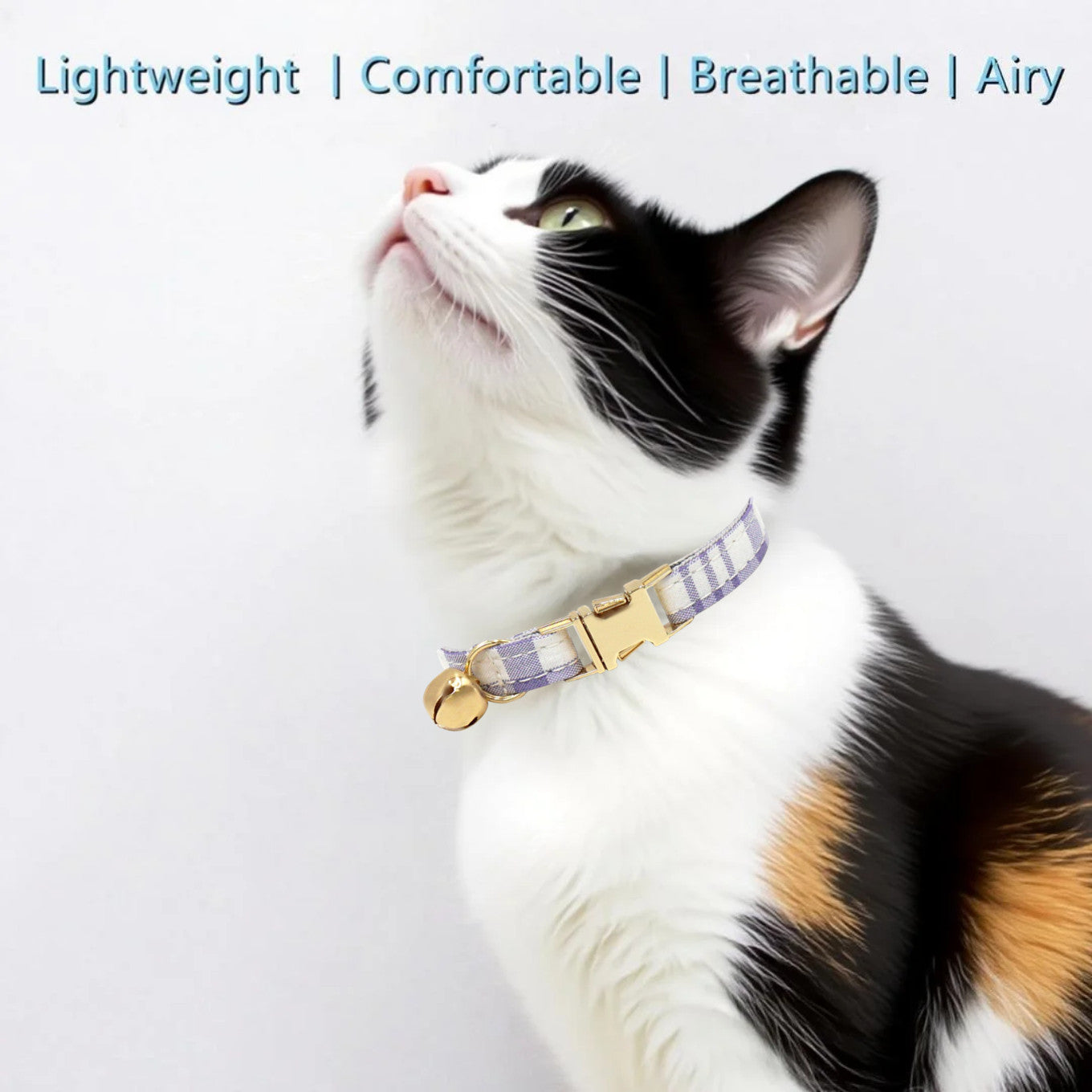 The Plaid Charm Cat Collar & Leash Set: Style, Safety & Purr-fect Comfort/Purple